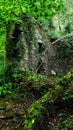 Disused Lopwell Cottage or Ferry ManÃ¢â¬â¢s CottageÃÂ 